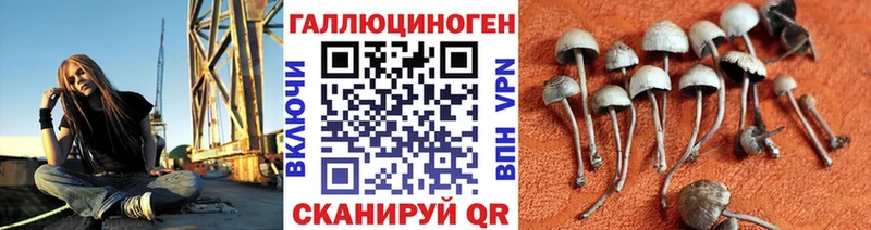 где продают наркотики  Балей  Псилоцибиновые грибы GOLDEN TEACHER 